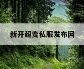 新开超变私服发布网