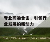 专业网通合击，引领行业发展的新动力