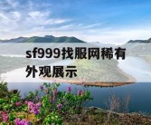 sf999找服网稀有外观展示