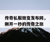 传奇私服微变发布网，刚开一秒的传奇之旅