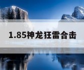 1.85神龙狂雷合击