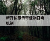 新开私服传奇怪物召唤机制