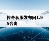 传奇私服发布网1.95合击