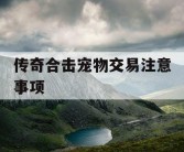 传奇合击宠物交易注意事项