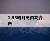 1.95皓月无内功合击