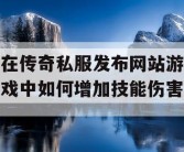 在传奇私服发布网站游戏中如何增加技能伤害