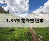1.85神龙终极版本