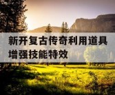 新开复古传奇利用道具增强技能特效