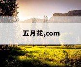 五月花精品传奇网站