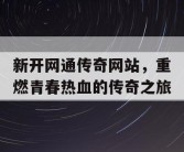 新开网通传奇网站，重燃青春热血的传奇之旅
