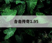 合击传奇1.95