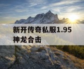 新开传奇私服1.95神龙合击