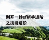 刚开一秒sf新手进阶之技能进阶