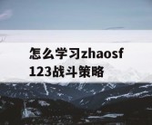 怎么学习zhaosf123战斗策略