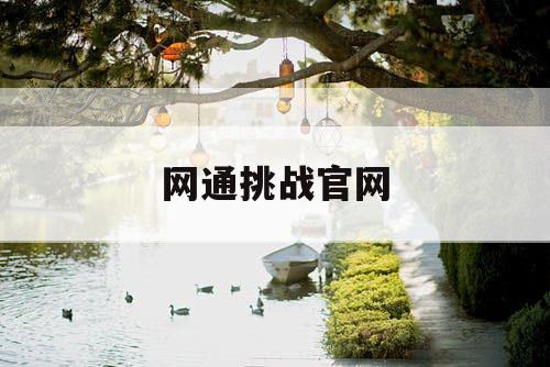 网通挑战官网