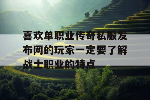 喜欢单职业传奇私服发布网的玩家一定要了解战士职业的特点
