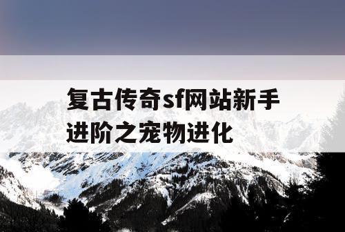 复古传奇sf网站新手进阶之宠物进化