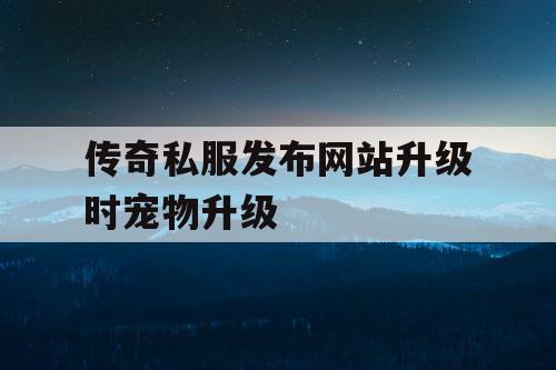 传奇私服发布网站升级时宠物升级