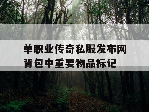 单职业传奇私服发布网背包中重要物品标记