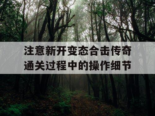 注意新开变态合击传奇通关过程中的操作细节