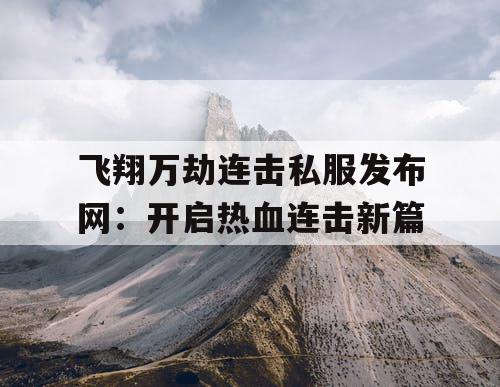 飞翔万劫连击私服发布网：开启热血连击新篇