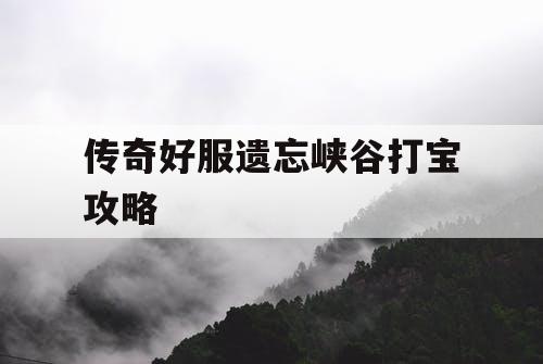 传奇好服遗忘峡谷打宝攻略