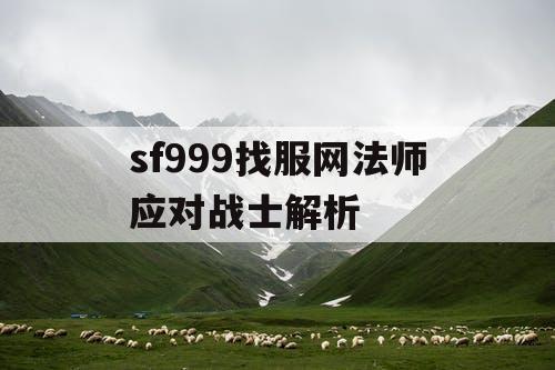 sf999找服网法师应对战士解析