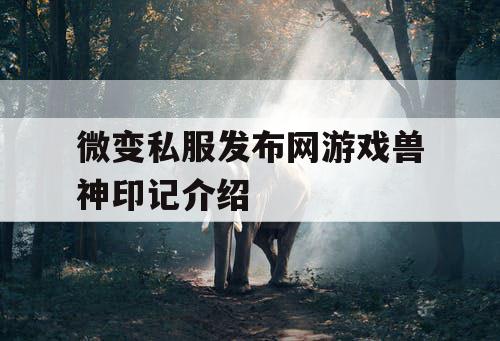 微变私服发布网游戏兽神印记介绍