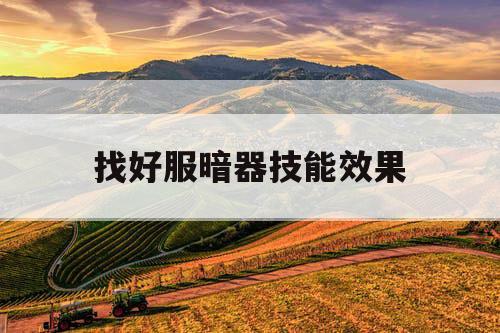 找好服暗器技能效果
