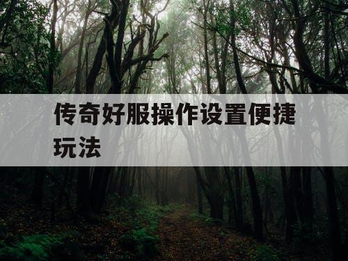 传奇好服操作设置便捷玩法