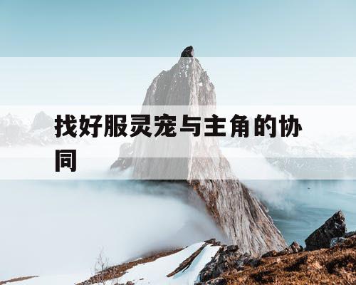 找好服灵宠与主角的协同