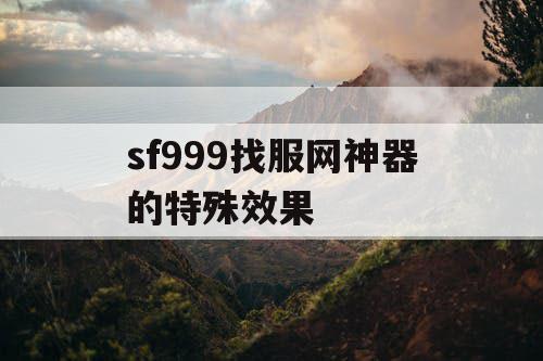 sf999找服网神器的特殊效果