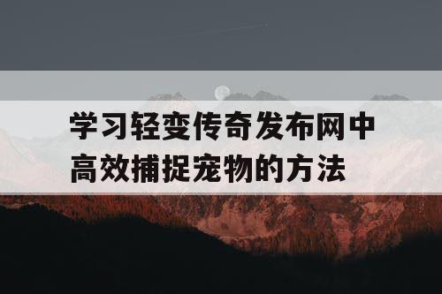 学习轻变传奇发布网中高效捕捉宠物的方法
