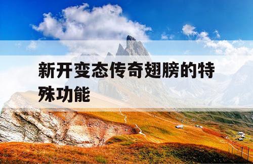新开变态传奇翅膀的特殊功能