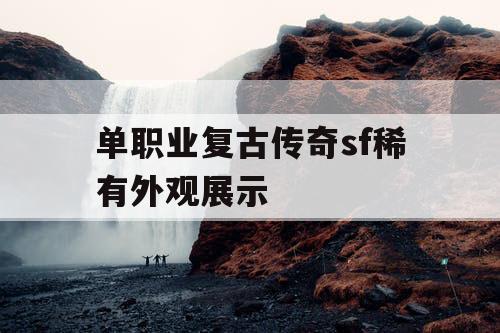 单职业复古传奇sf稀有外观展示